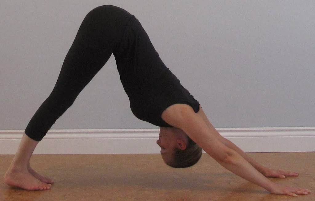 Maha Pura Yoga | 667 Wellington St W, Guelph, ON N1H 8L8, Canada | Phone: (519) 824-8369