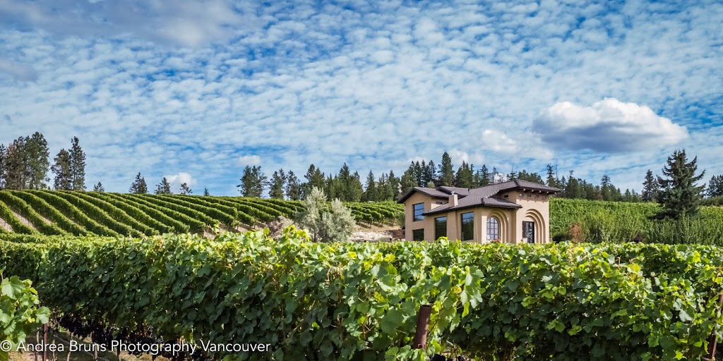 Andrea Bruns Photography | 860 16th St E, North Vancouver, BC V7L 2V4, Canada | Phone: (778) 995-7611