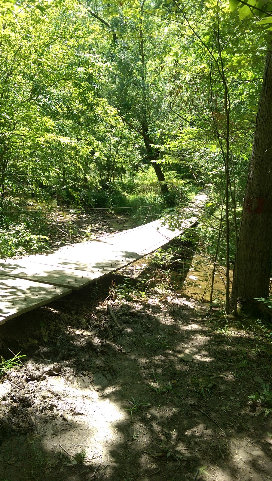Niagara Royalton Ravine Park | Gasport Rd, Gasport, NY 14067, USA | Phone: (716) 772-2016