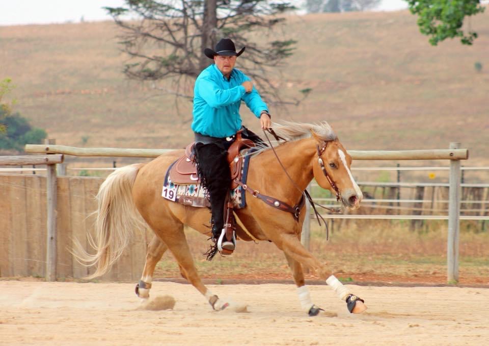 Kemp Equine Training | 49979 Camp River Rd, Chilliwack, BC V2P 6H4, Canada | Phone: (778) 933-2727