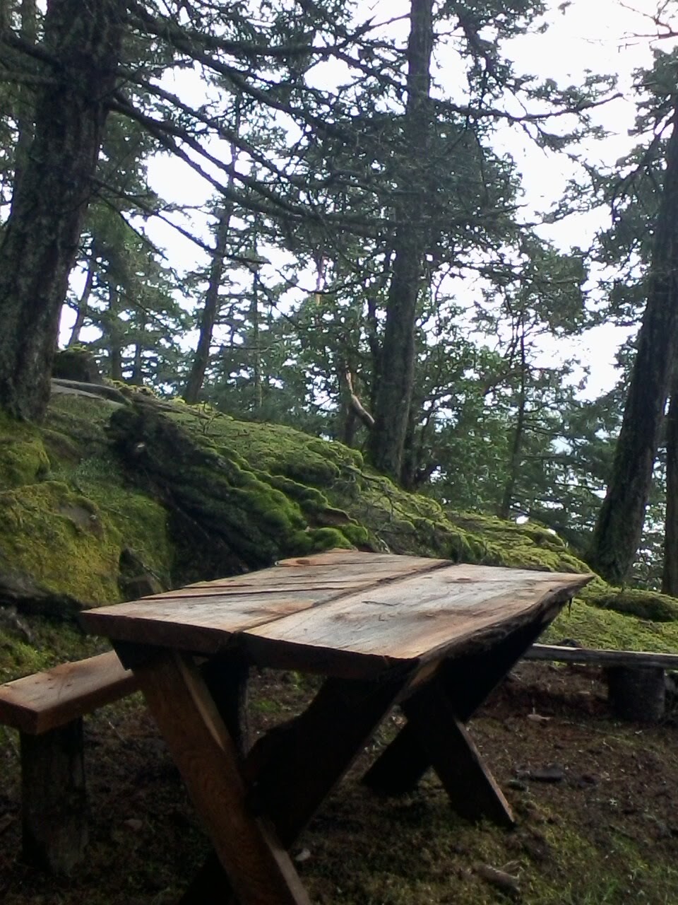 Breezy Bay Bed & Breakfast | 131 Payne Rd, Saturna, BC V0N 2Y0, Canada | Phone: (250) 539-5957