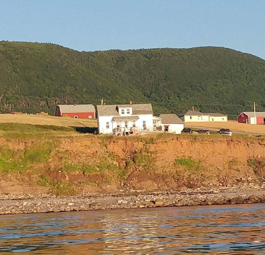 Harbour Homestead | 144 5309 Rd, Grand Étang, NS B0E 1L0, Canada | Phone: (289) 213-5162