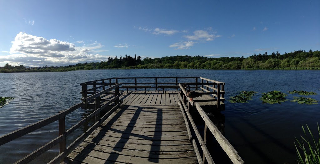 Swan Lake Christmas Hill Nature Sanctuary | 3873 Swan Lake Rd, Victoria, BC V8X 3W1, Canada | Phone: (250) 479-0211