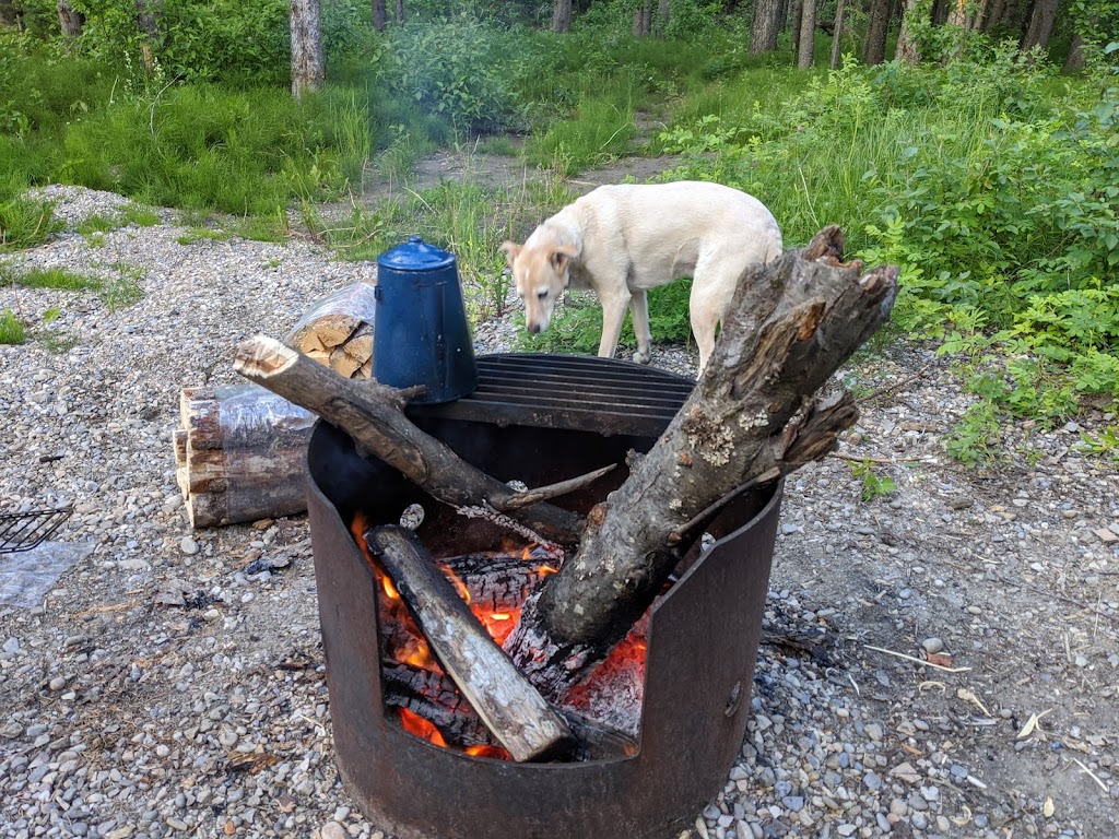 Strachan Campground | Range Rd 91B, Alberta T0M 2H0, Canada | Phone: (877) 537-2757