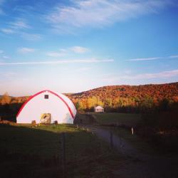 Ferme Brio | 455 Chemin du Petit Brompton, Racine, QC J0E 1Y0, Canada | Phone: (819) 679-3433