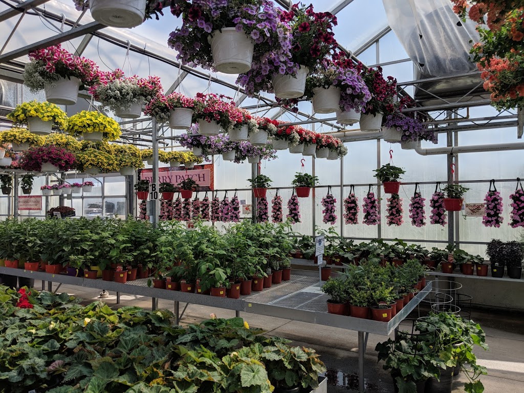Sumka Brothers Greenhouses (1977) | 328 Peguis St, Winnipeg, MB R3W 1R4, Canada | Phone: (204) 661-9229