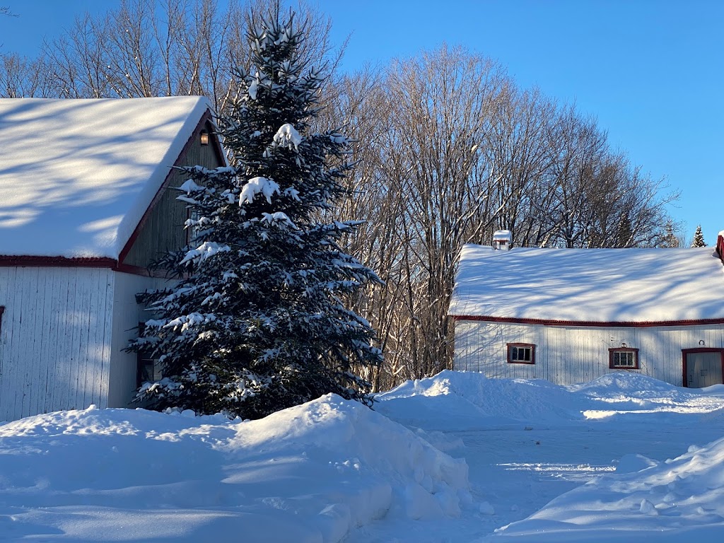 La Beauchemin -À Chacun Son Shack | 1399 5e Av, Saint-Gabriel-de-Valcartier, QC G0A 4S0, Canada | Phone: (581) 983-5247