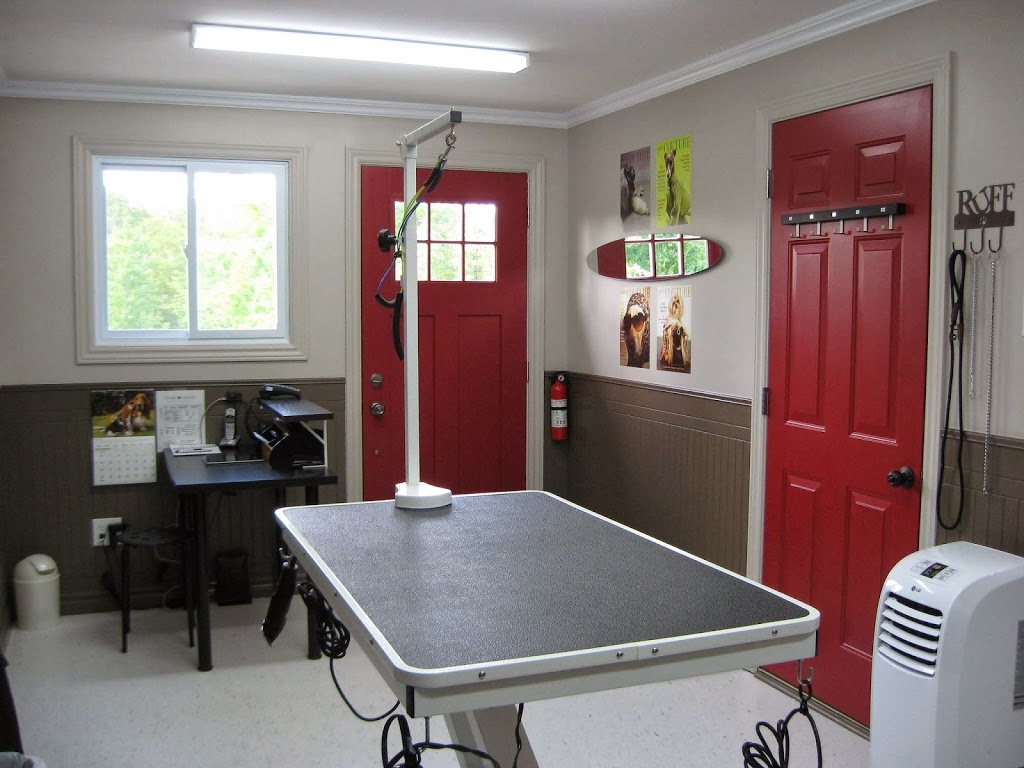 Proud Canines | 1146 Valens Rd, Cambridge, ON N1R 5S2, Canada | Phone: (905) 308-5740
