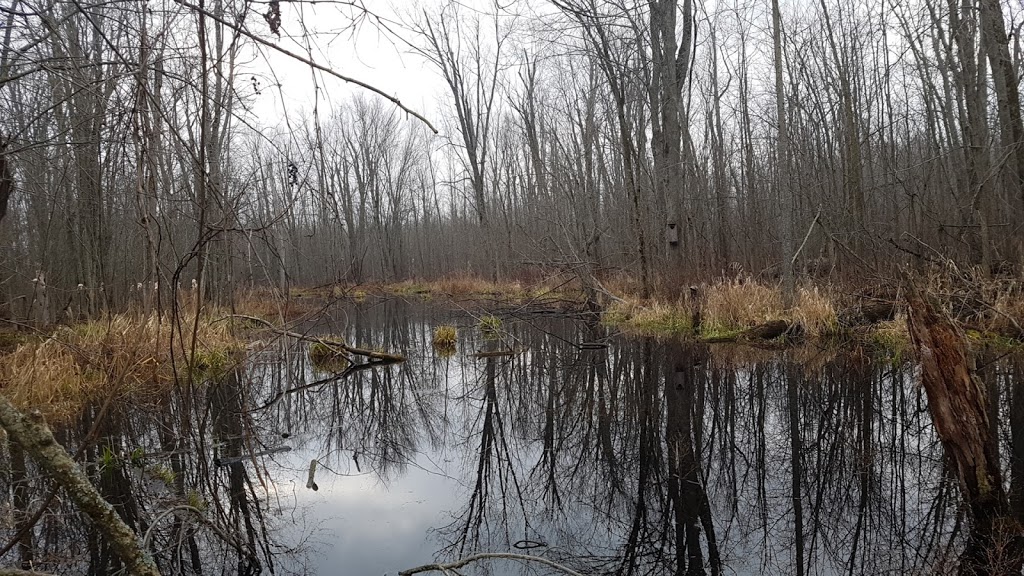 Tiny Marsh Provincial Wildlife Area | 500 Tiny Flos Townline, Elmvale, ON L0L 1P0, Canada | Phone: (705) 322-2200