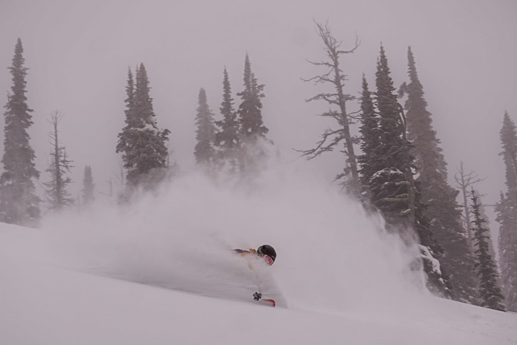 Grizzly Basin | 6301 Robert Rd, Jaffray, BC V0B 1T0, Canada | Phone: (250) 417-6696
