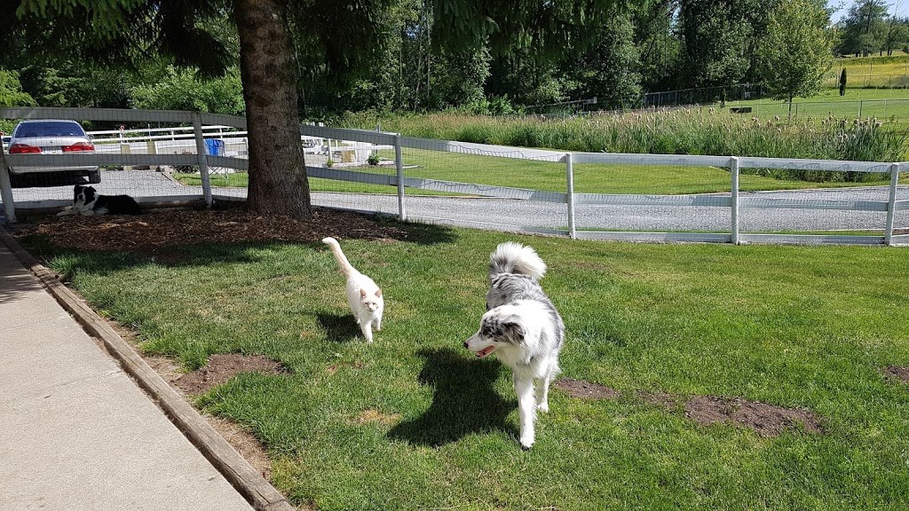 Bosleys by Pet Valu | 26310 Fraser Hwy #250, Aldergrove, BC V4W 2Z7, Canada | Phone: (604) 607-6621