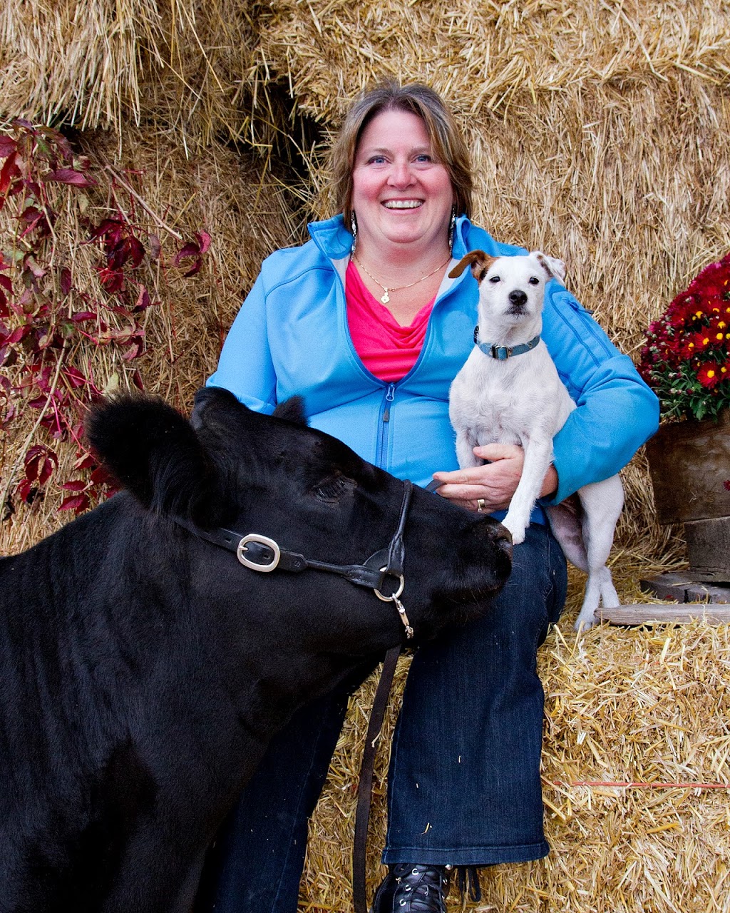 Mississippi Veterinary Services | 2809 County Rd No 29, Pakenham, ON K0A 2X0, Canada | Phone: (613) 624-5554