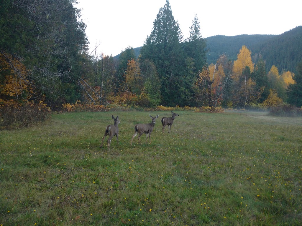 Bandit Farms | 1427 Collins Rd, Pemberton, BC V0N 2L0, Canada | Phone: (604) 809-9333