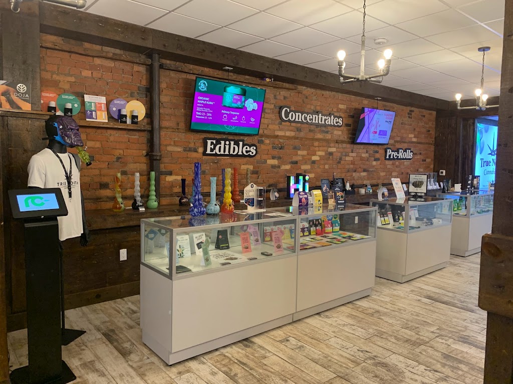 True North Cannabis Co | 326 Ottawa St N, Hamilton, ON L8H 4A1, Canada | Phone: (289) 678-1855