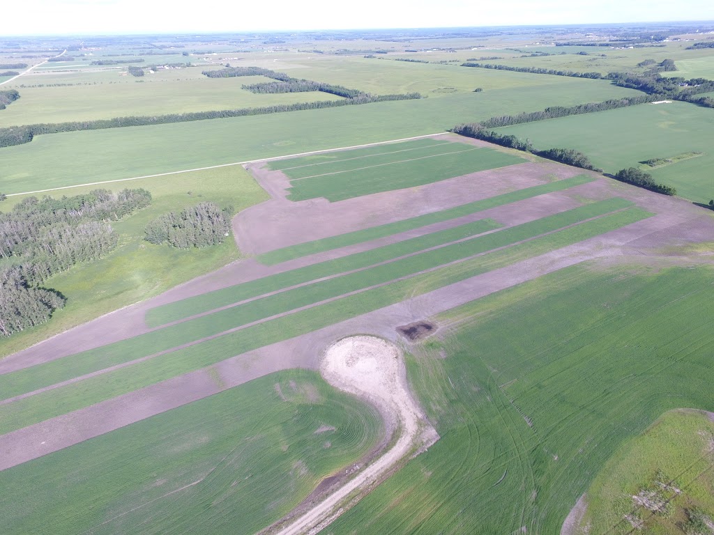 GD Ellis Farms & Brian Ellis Seed | 28546 Township Road 334, Mountain View County, AB T4H 1P2, Canada | Phone: (403) 556-2890