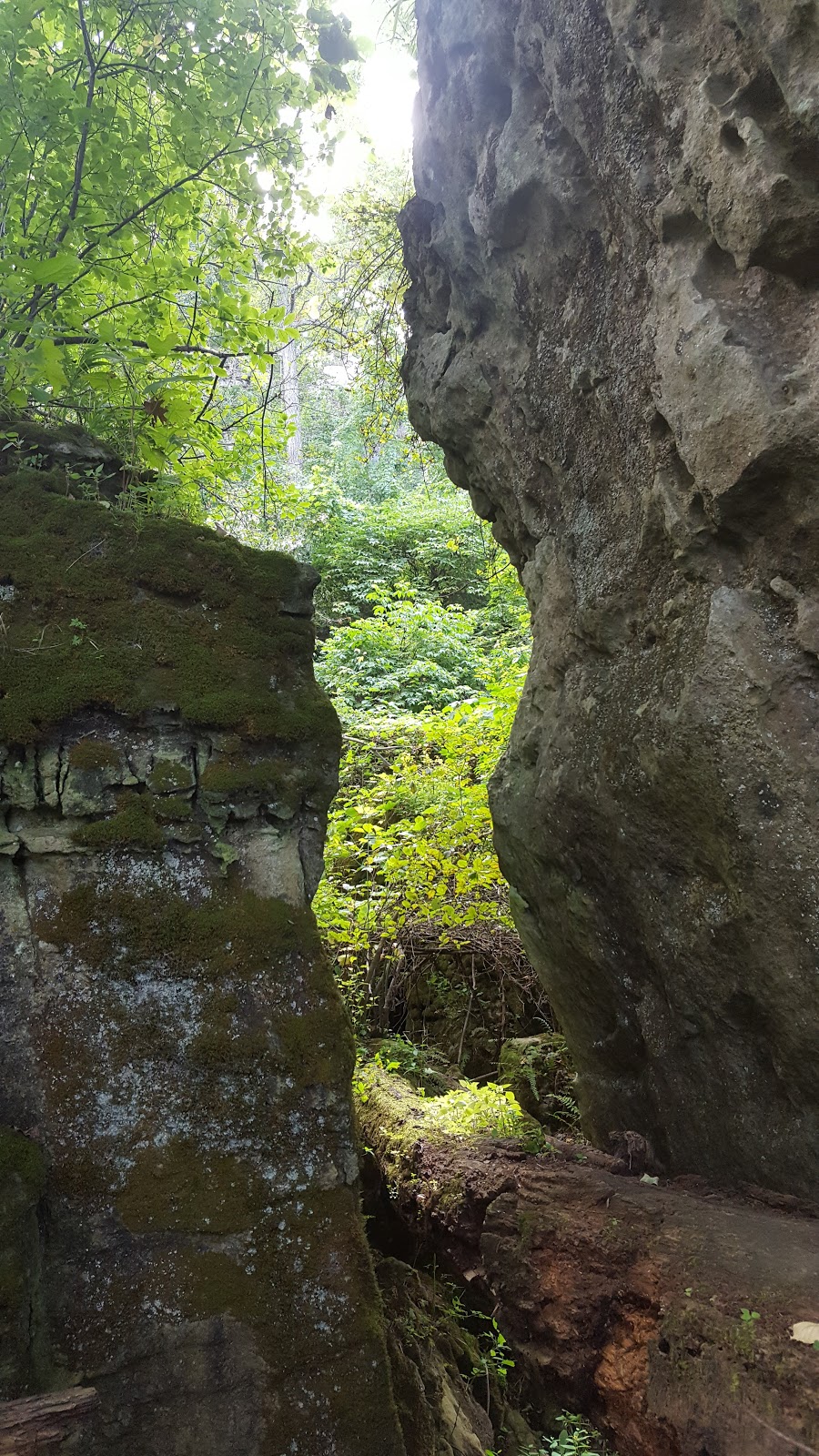 Cave Springs Conservation Area | 3949 Cave Spring Rd, Campden, ON L0R 1G0, Canada