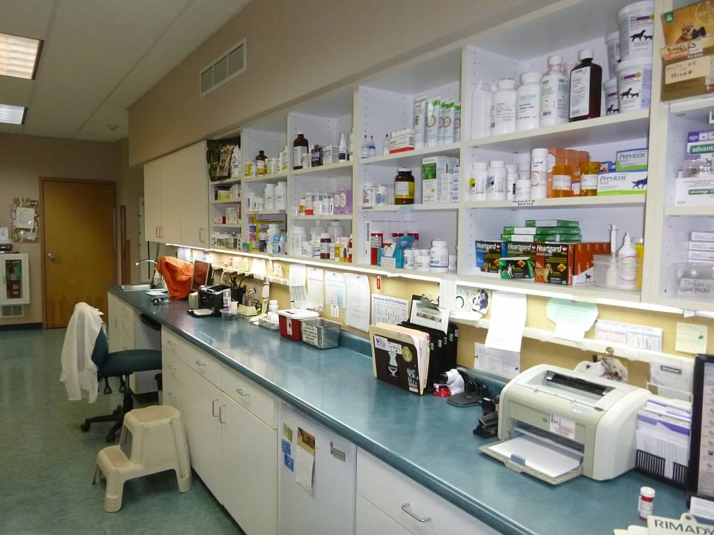 Grand Island Animal Hospital | 2323 Whitehaven Rd, Grand Island, NY 14072, USA | Phone: (716) 773-7646