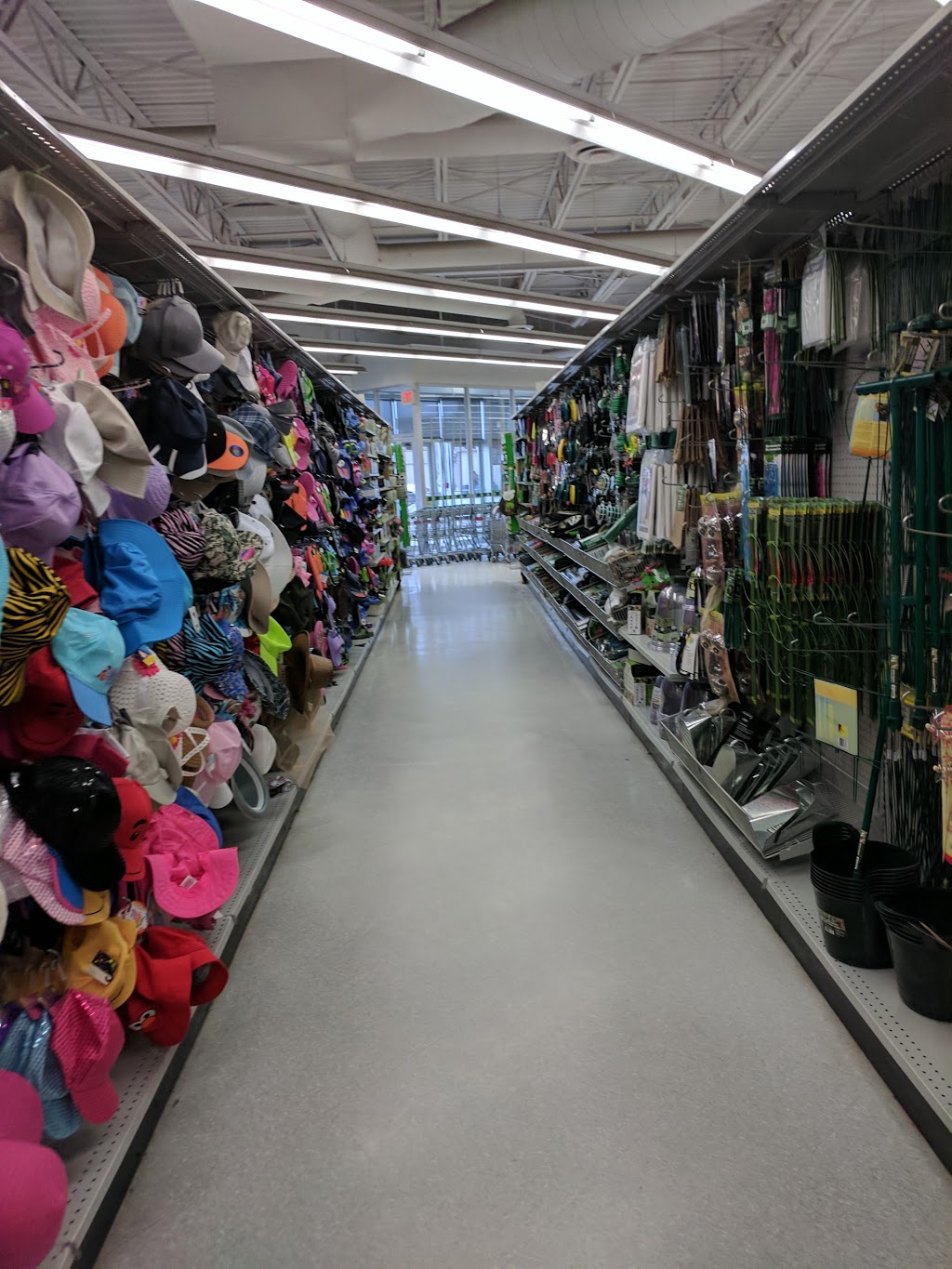 Dollarama | Ranch Market Hall, 100 Ranch Market, Strathmore, AB T1P 0A8, Canada | Phone: (403) 934-6351