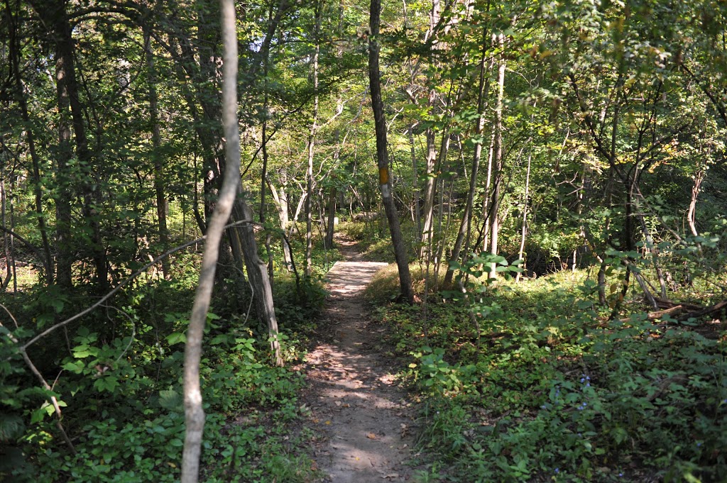 Kains Woods | River Bend, London, ON N6K 5R1, Canada