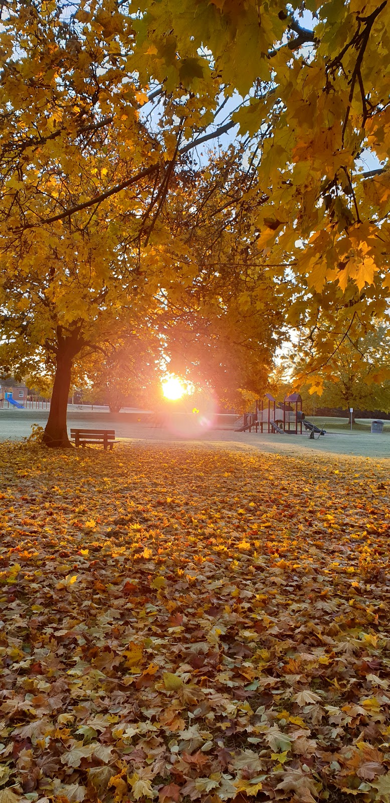Armstrong Park | Major Buttons Dr, Markham, ON L3P 3G6, Canada