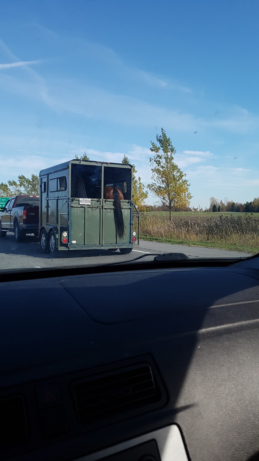 Salon De LAgriculture | 124 Rang Charlotte, Saint-Liboire, QC J0H 1R0, Canada | Phone: (450) 771-1226