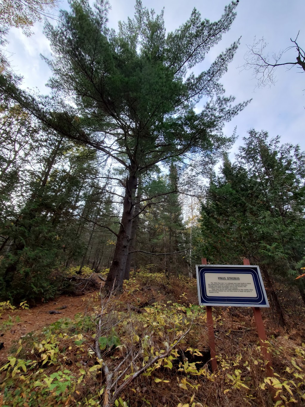 Heritage Silver Trail - Site 4 The Little Silver Vein | Coleman Rd, Cobalt, ON P0J 1C0, Canada | Phone: (705) 679-5555