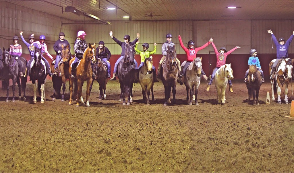 Sweet Talk Stables | 240142 Range Road 275 & Township Rd 240, Chestermere, AB T2P 2G7, Canada | Phone: (403) 207-3353