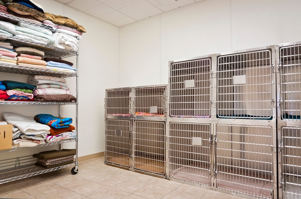 Warman Veterinary Clinic | 100A Crystal Springs Dr, Warman, SK S0K 0A1, Canada | Phone: (306) 933-3235