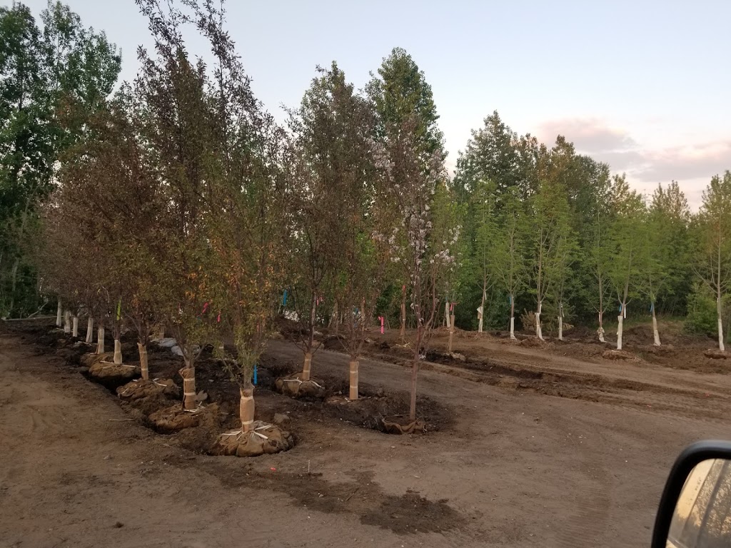 Devonian Landscapes | 26302 Twp Rd 511, Spruce Grove, AB T7Y 1E1, Canada | Phone: (780) 910-8882