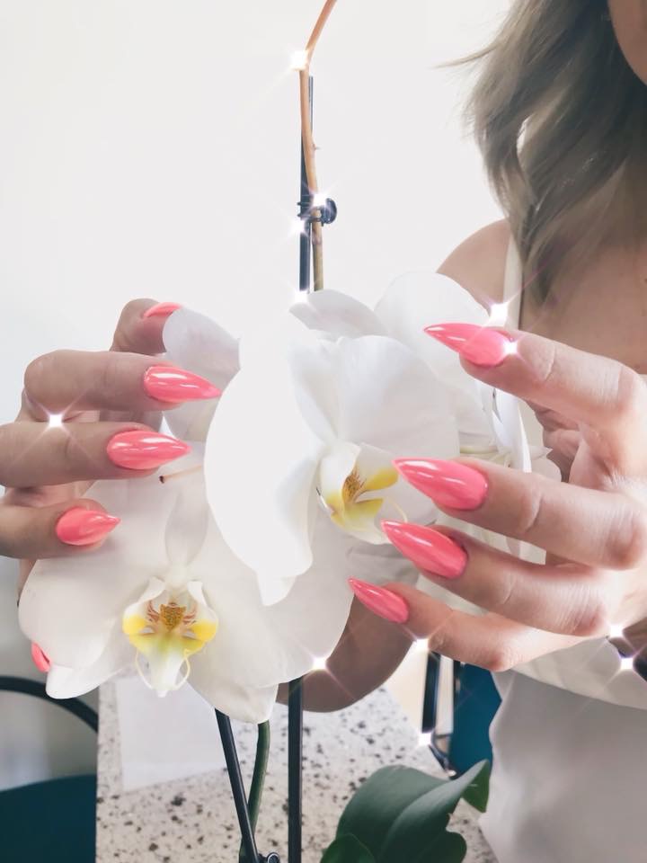 ACE OF NAILS | 2230 McPHILLIPS | GARDEN CITY | 2230 McPhillips Street Unit 1C Seven Oaks Shopping Centre, Winnipeg, MB R2V 3C8, Canada | Phone: (204) 504-0840