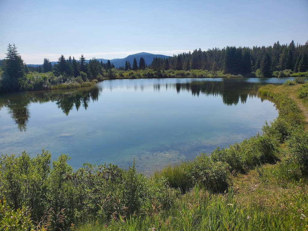 Outwest Camping & R.V.Park Ltd. | 381071 RR 10, 0, Rocky Mountain House, AB T4T 2A2, Canada | Phone: (403) 844-3083