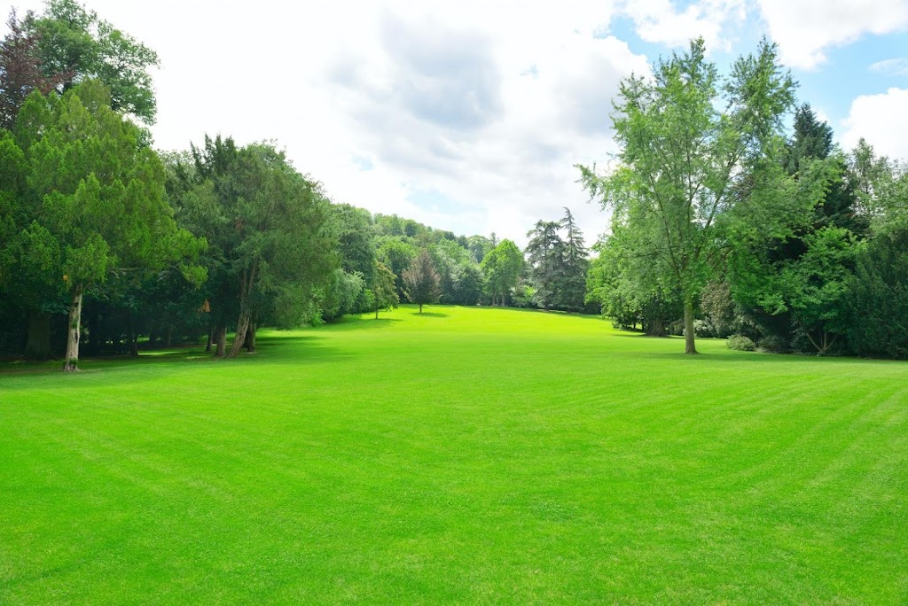 BELAMEX | 641 Des 30 Rang, Saint-Marc-sur-Richelieu, QC J0L 2E0, Canada | Phone: (450) 584-3343