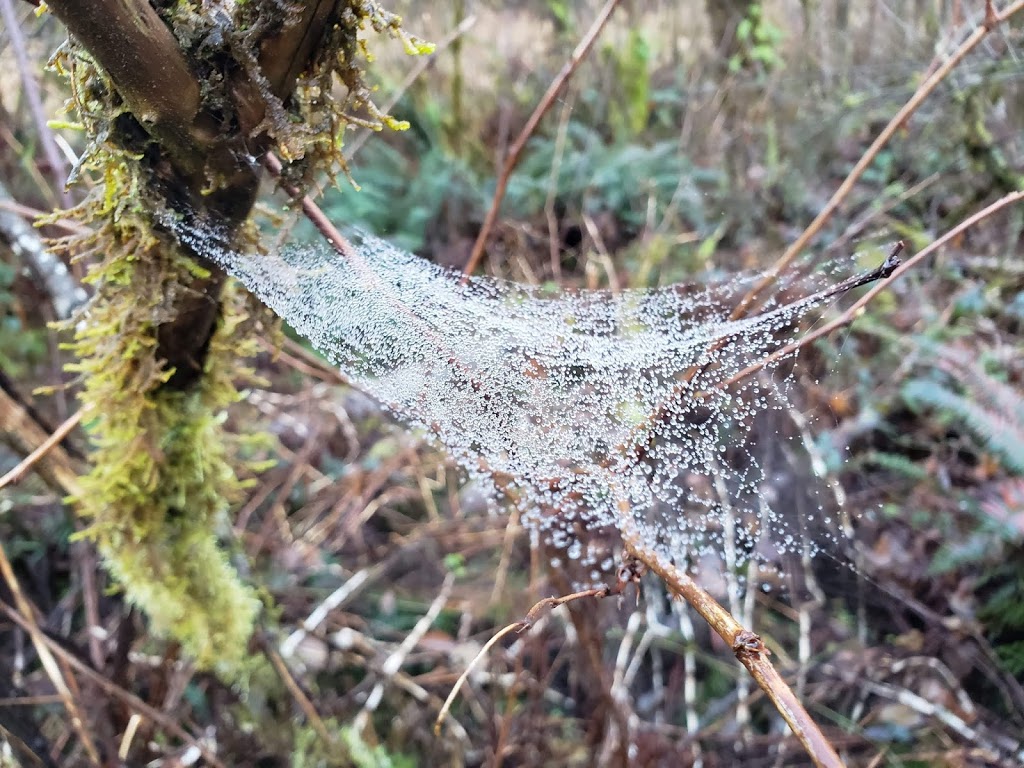 Minnekhada Hiking Trail | Coquitlam, BC V3E 3H6, Canada
