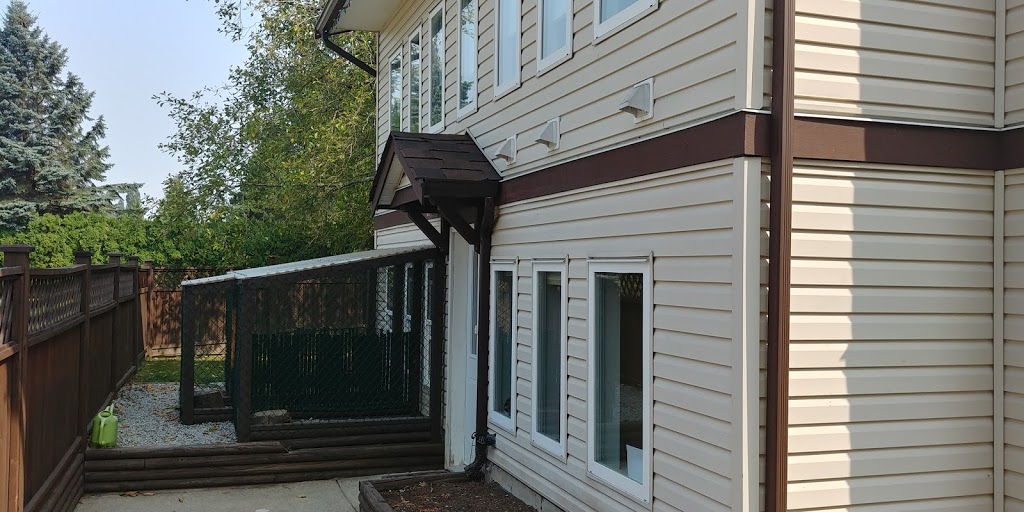 Cat Utopia | 7424 185 St, Surrey, BC V4N 6C2, Canada | Phone: (778) 571-1024