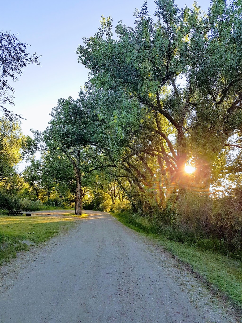 Emerson Bridge Park Campground | Newell County No. 4, AB T1R 1B2, Canada | Phone: (403) 362-1702
