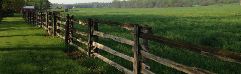 Beaver Vale Farms | 4736 8th Line, Beeton, ON L0G 1A0, Canada | Phone: (905) 775-7639