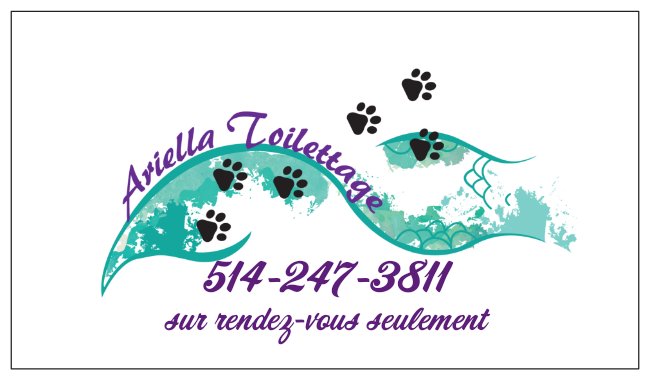 Ariella Toilettage | 225 Rue des Cerfs, Farnham, QC J2N 3C6, Canada | Phone: (514) 247-3811