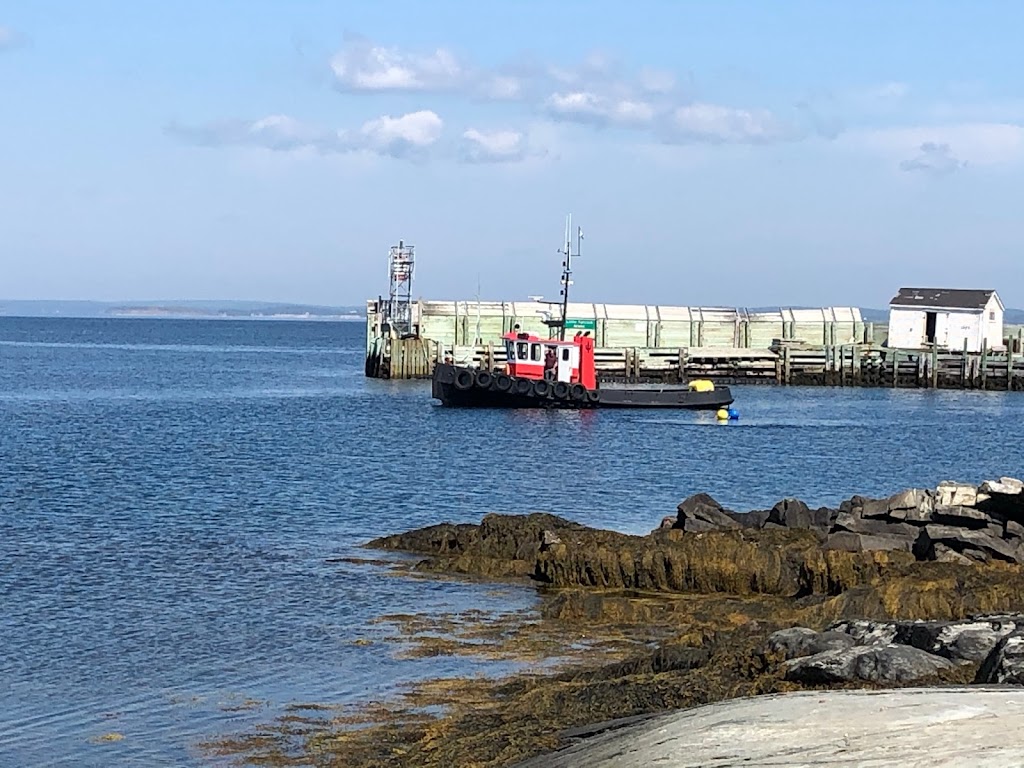 Trident Marine Services Inc | 18 Little Tancook Island Rd, Little Tancook, NS B0J 2B0, Canada | Phone: (902) 973-1333