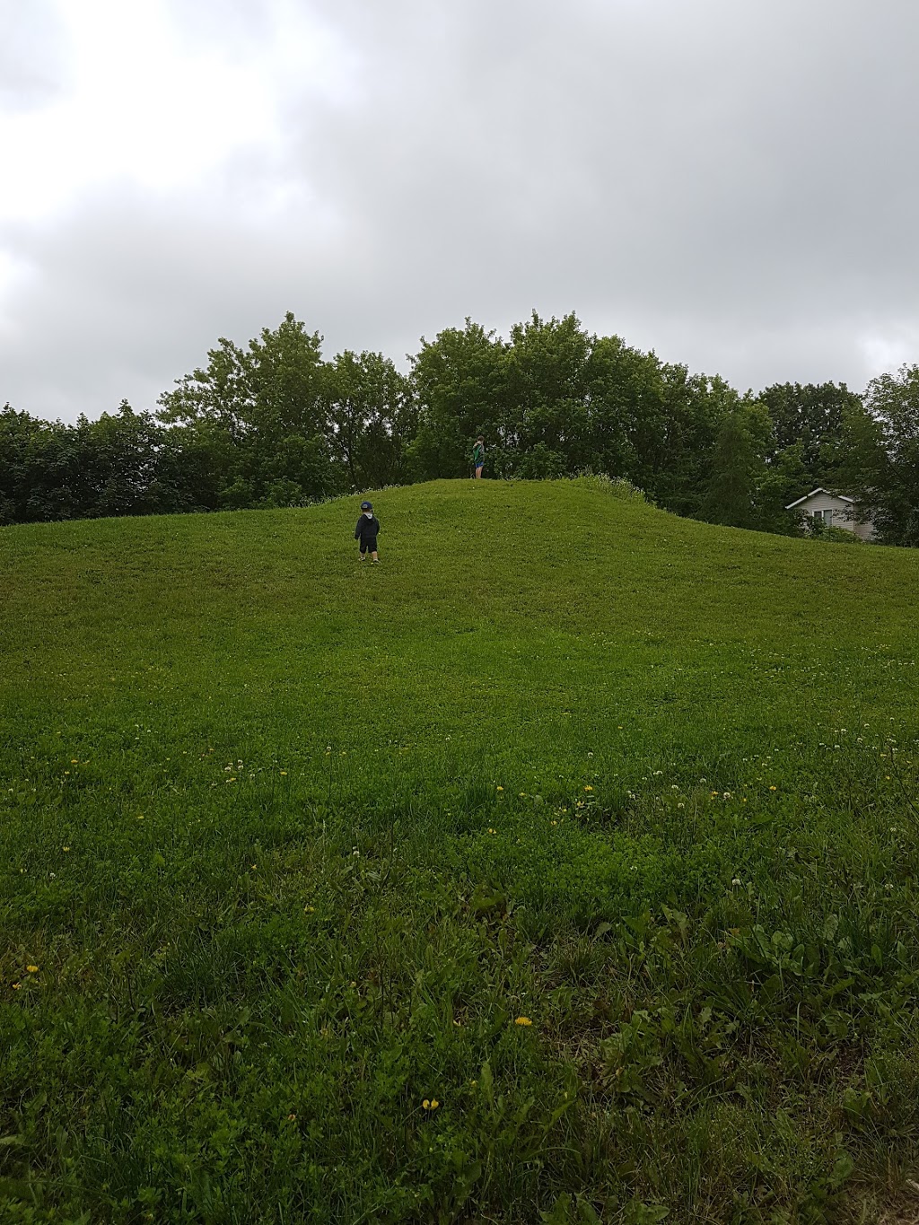 Homewood Park | 68 Woodside Dr, Orillia, ON L3V 3K9, Canada