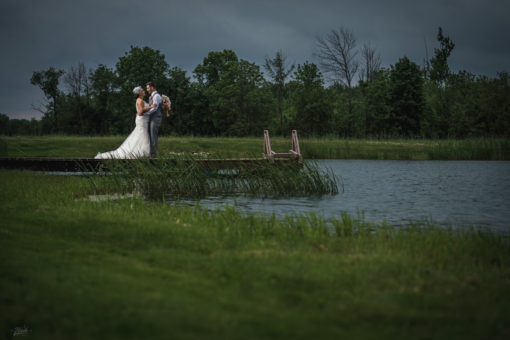 A Nash Photograph | 40 Gordon St, Cambridge, ON N1S 2G4, Canada | Phone: (226) 218-6870