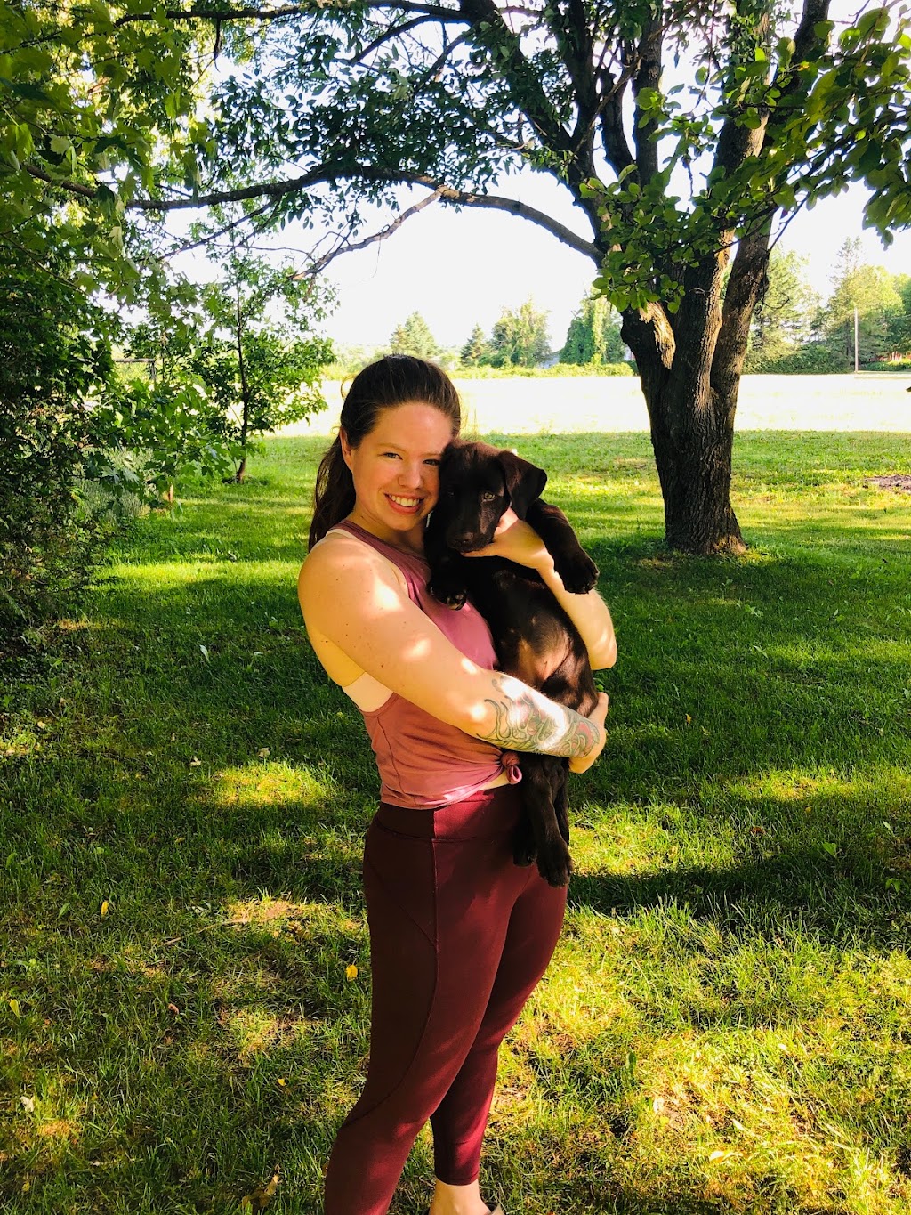 Chenil Hurle-Vent (Pension pour chiens / Dog boarding) | 197 Rang Saint-André, Saint-Bernard-de-Lacolle, QC J0J 1V0, Canada | Phone: (450) 246-2940