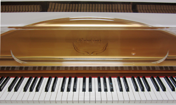 Wonder School of Music | 10815 Bathurst St #10, Richmond Hill, ON L4C 9Y2, Canada | Phone: (905) 508-0784