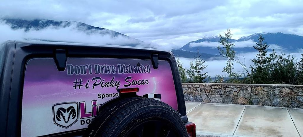 Dont Drive Distracted-I Pinky Swear | 57 McLaughlin Rd, Lindsay, ON K9V 6B5, Canada | Phone: (705) 928-2464