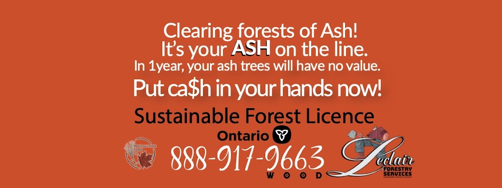 Leclair Forestry Services | 962 Lazier Rd, Shannonville, ON K0K 3A0, Canada | Phone: (613) 919-0386