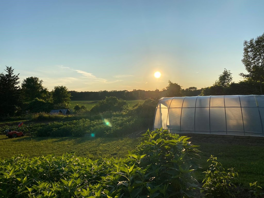 Littlejohn Farm | 908 County Rd 10, Picton, ON K0K 2T0, Canada | Phone: (647) 716-7737