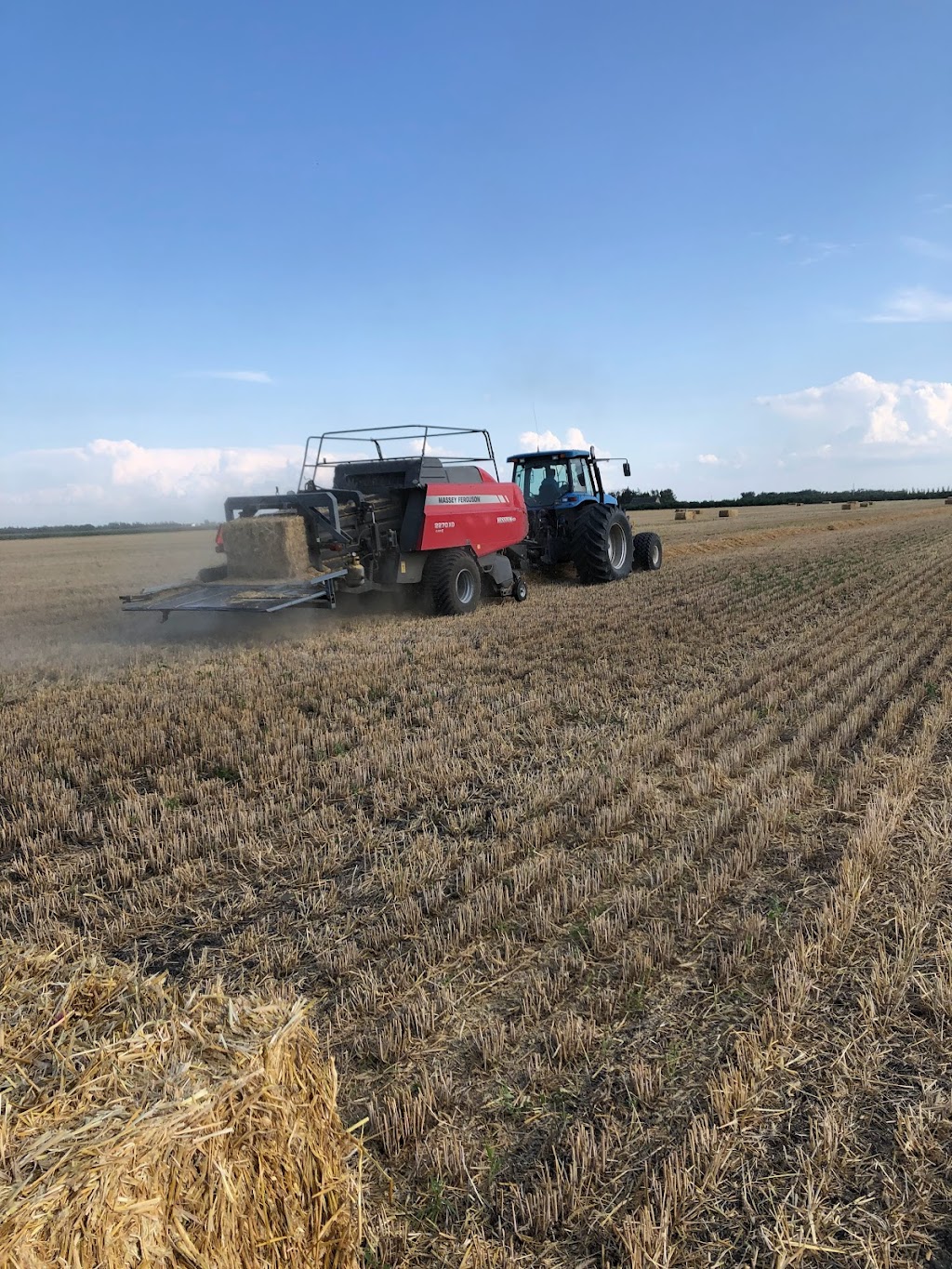 Avodah Farms | 12077 Rd 26 W, Thornhill, MB R6T 0B9, Canada | Phone: (204) 362-8675