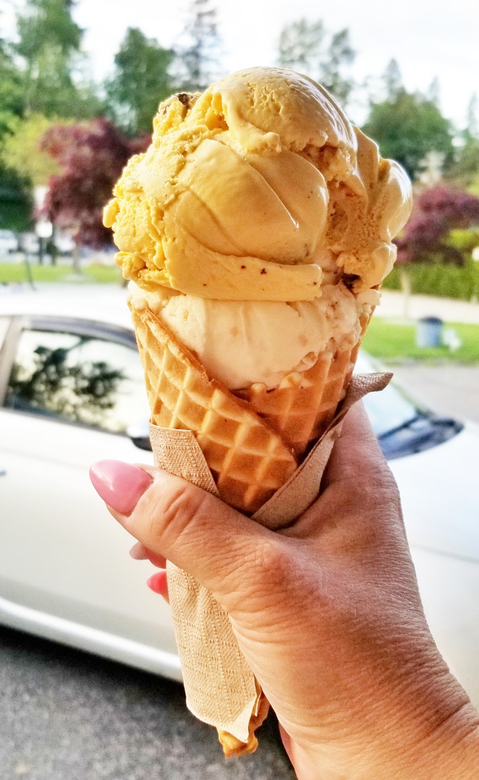 Kents Ice Cream Co | 47582 Yale Rd, Chilliwack, BC V2P 7N1, Canada