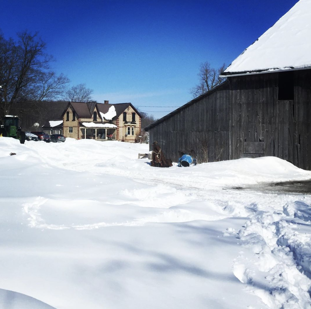 Sauble River Farms | 274 Salem Rd, Allenford, ON N0H 1A0, Canada | Phone: (519) 935-2602