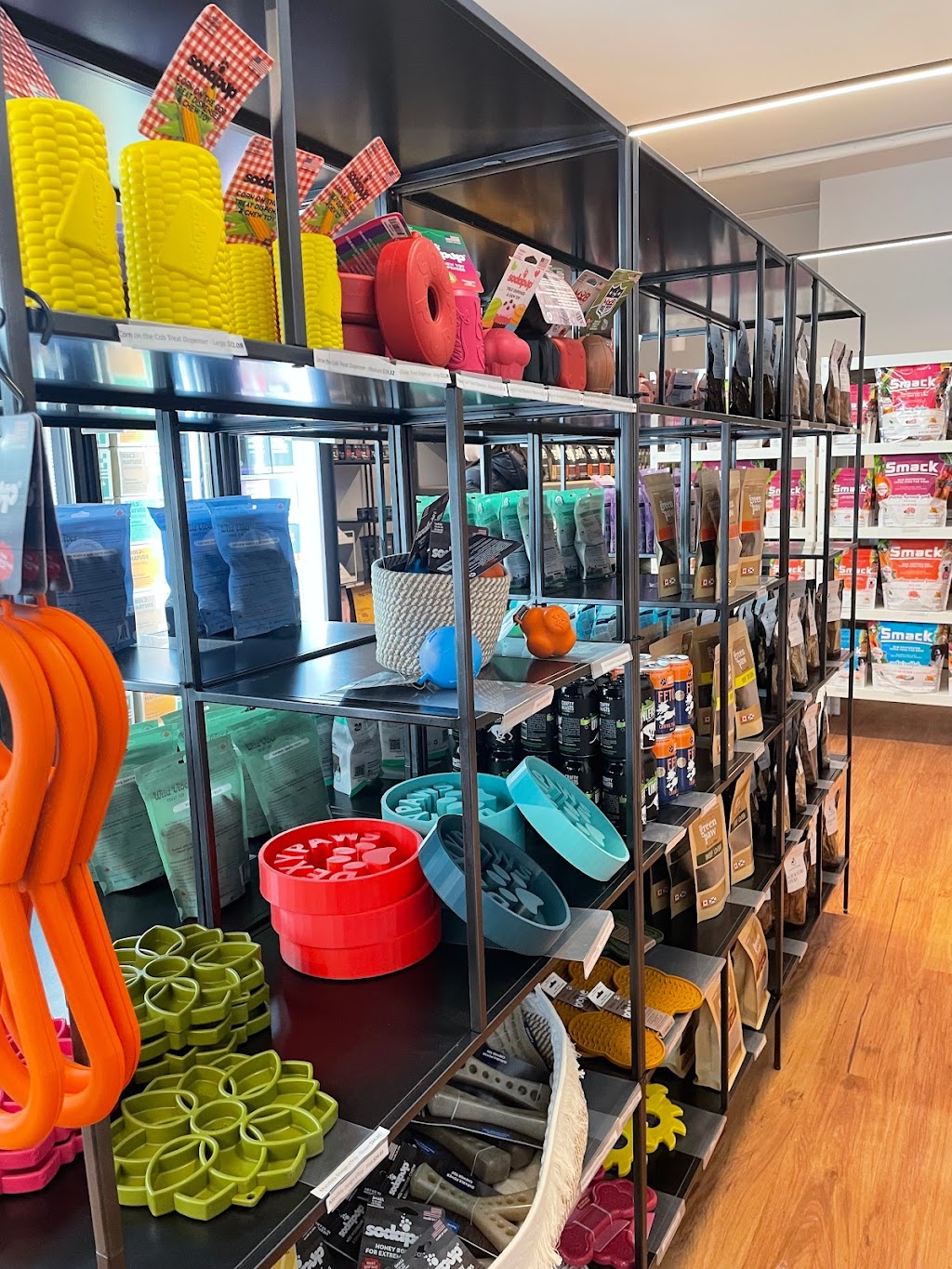 East Coast Dog | 3180 Isleville St, Halifax, NS B3K 3Y3, Canada | Phone: (902) 200-8332