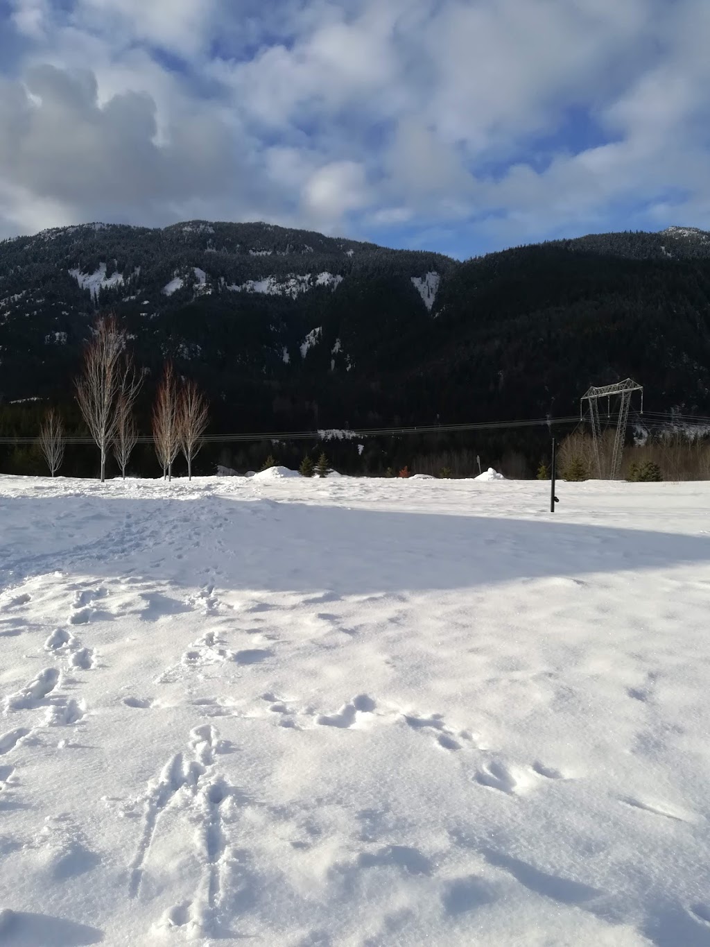 Cheakys Cafe | 1035 Legacy Way, Whistler, BC V0N 1B1, Canada | Phone: (604) 962-0025